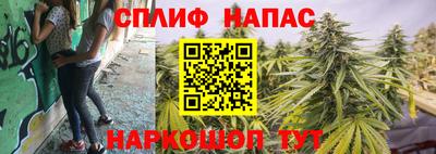 гидра Донецк