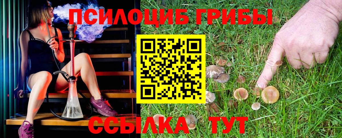 Псилоцибиновые грибы MAGIC MUSHROOMS  Галлюциногенные грибы мухоморы  где продают наркотики  Мурино  Вход с VPN 
